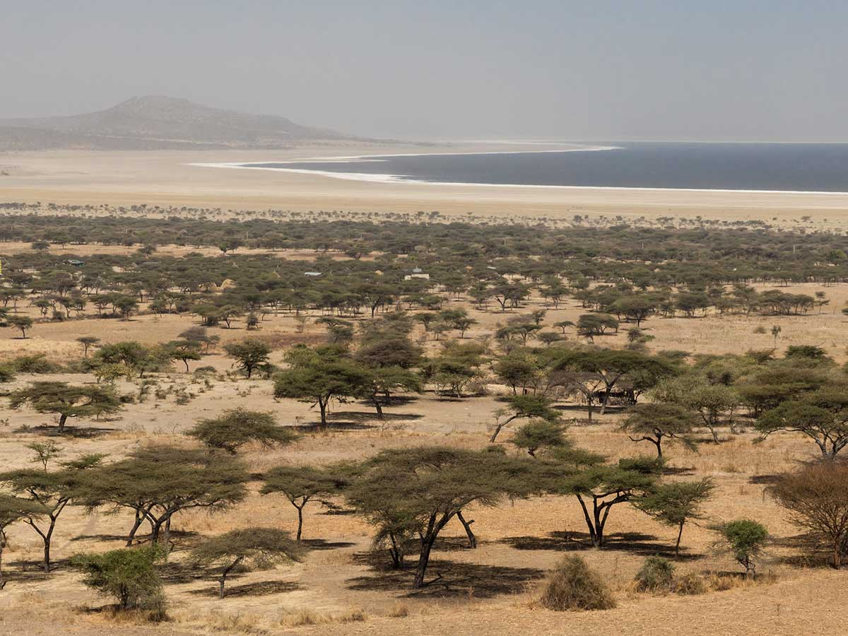 Mahteb Tours Ethiopia, Abiatta Shalla Lakes National Park