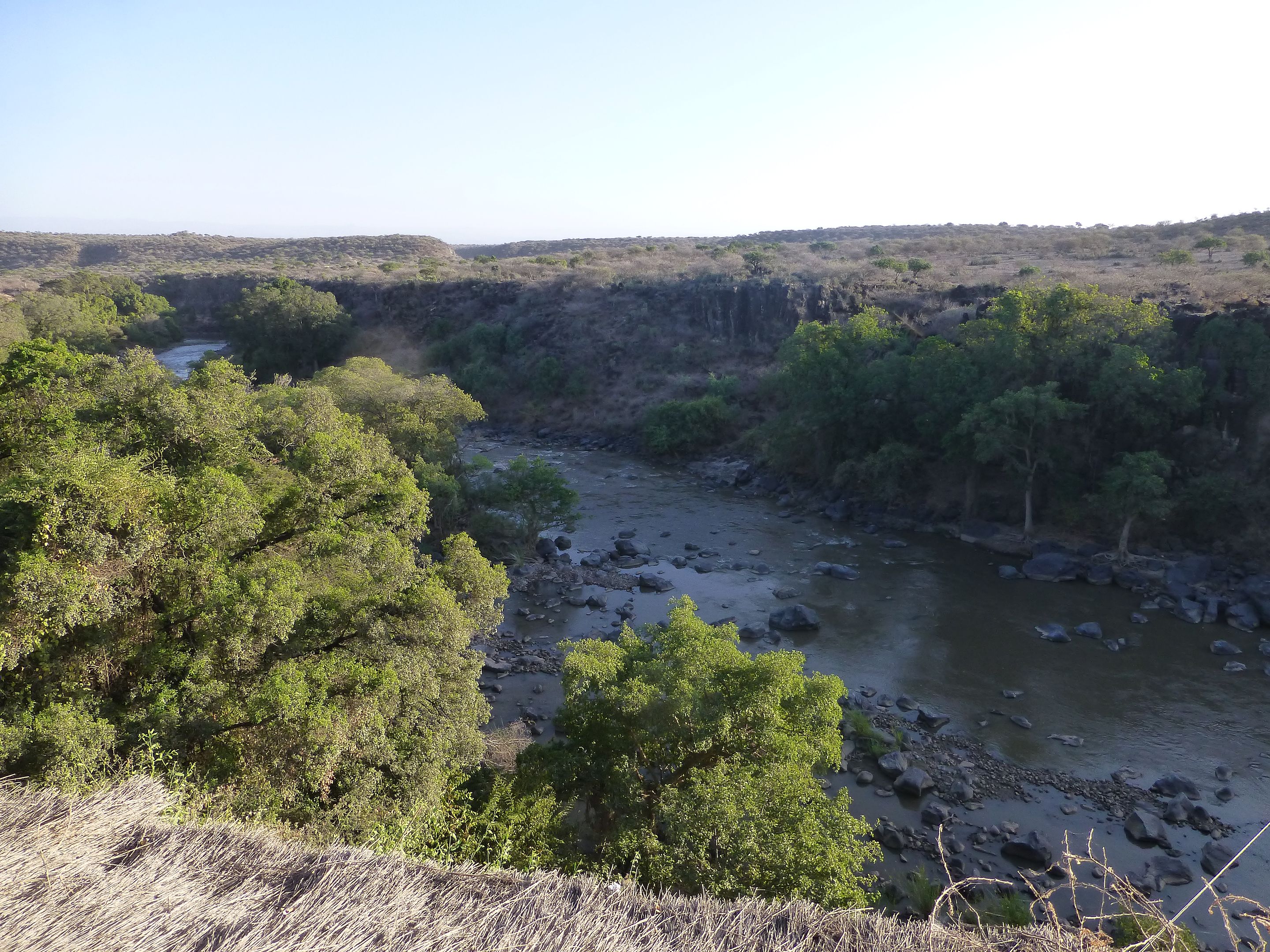 Matheb Tours Ethiopia Awash National Park