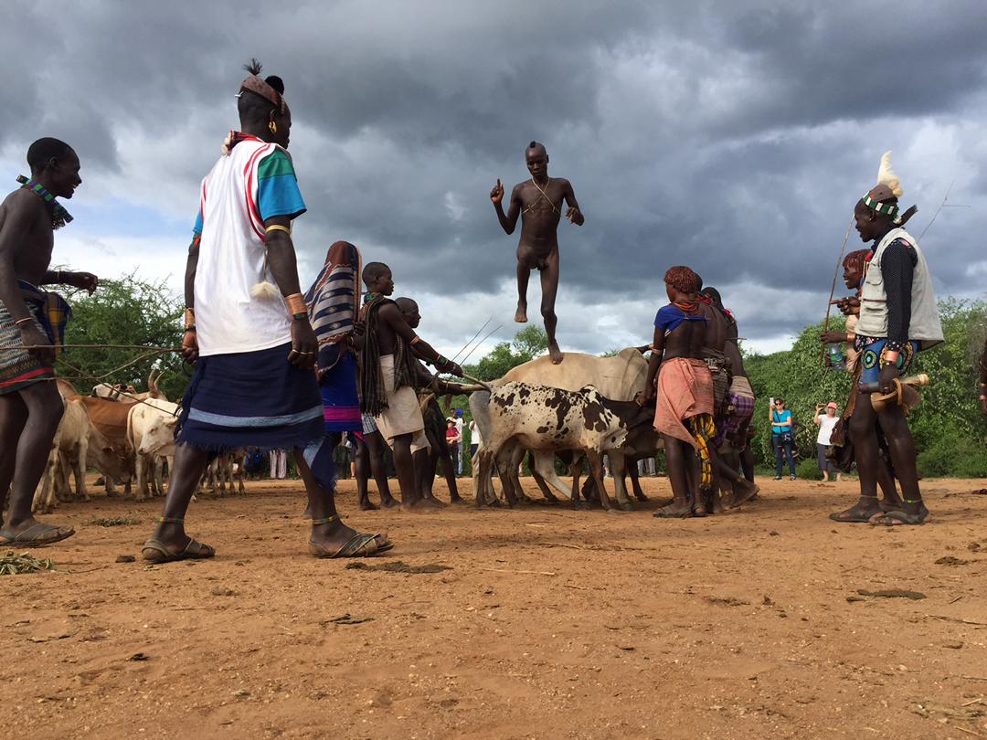 Hammer Tribe, bull jumping Mahteb Ethiopian Tours