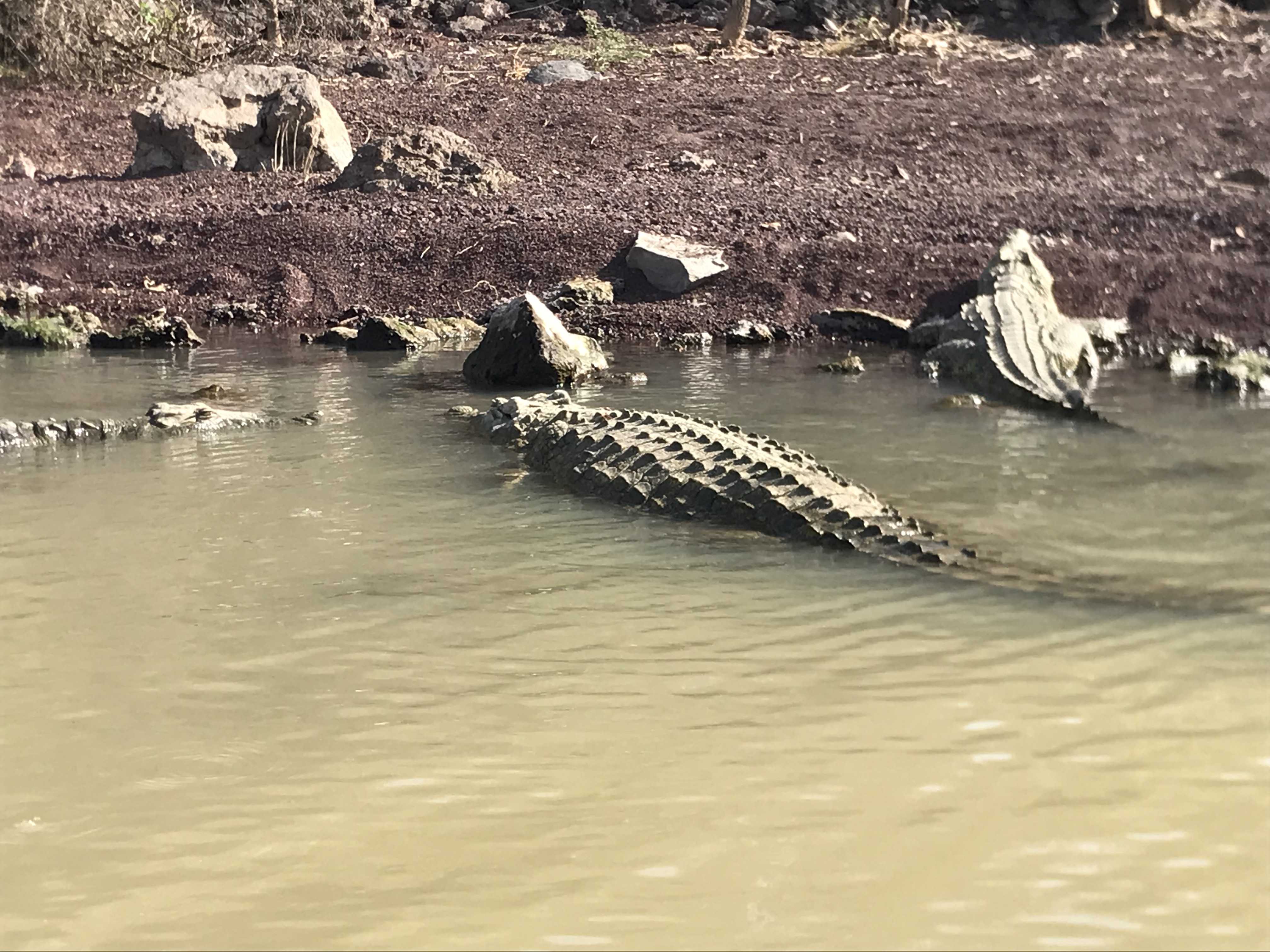 Lake Chamo Mahteb Ethiopian Tours
