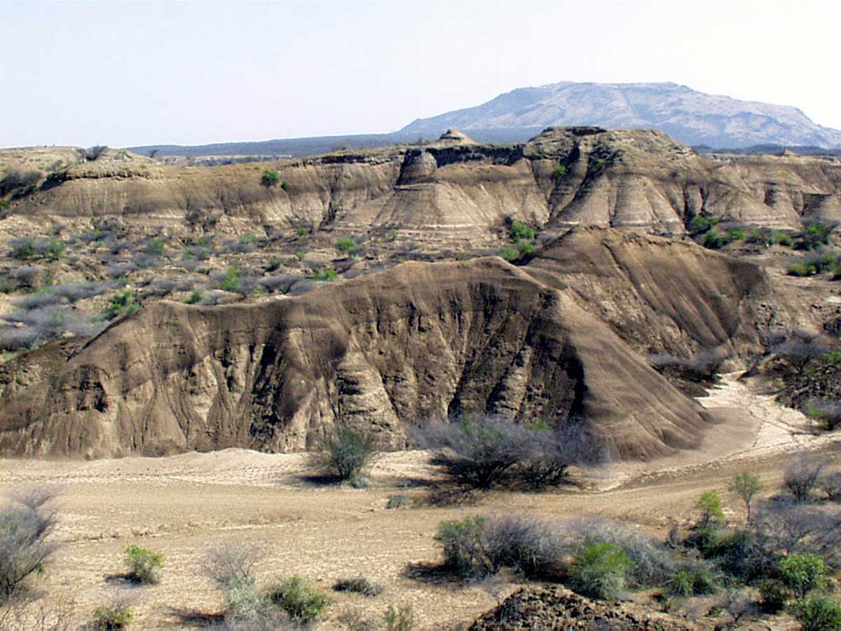 South West Mahteb Ethiopian Tours